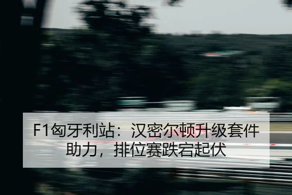 xiong-ya-li-zhan-han-mi-er-dun-sheng-ji-tao-jian-zhu-li-pai-wei-sai-die-dang-qi-fu-2-503.jpg